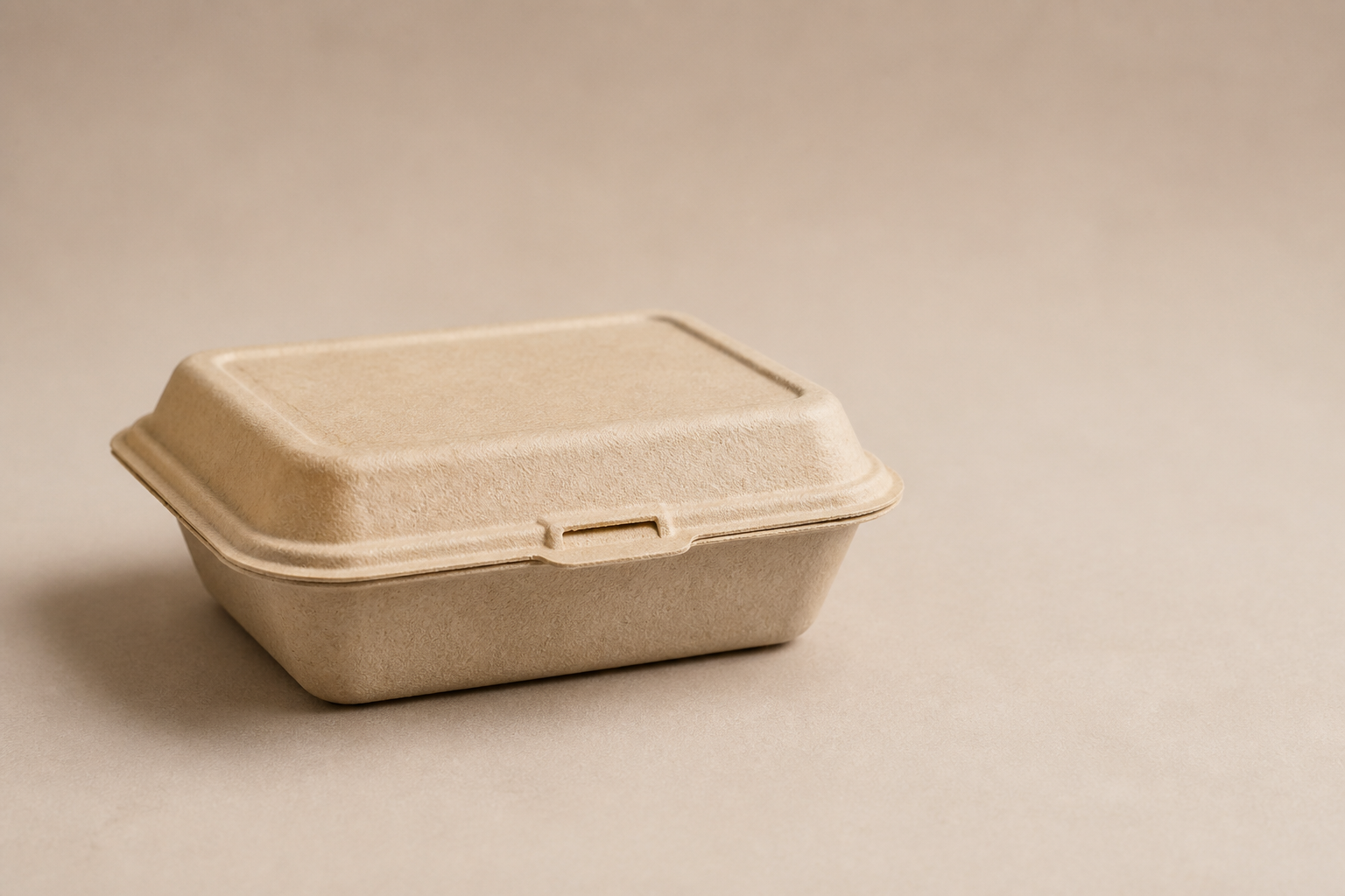 Bagasse takeaway containers for hot rice, noodle, grilled, and combination meals