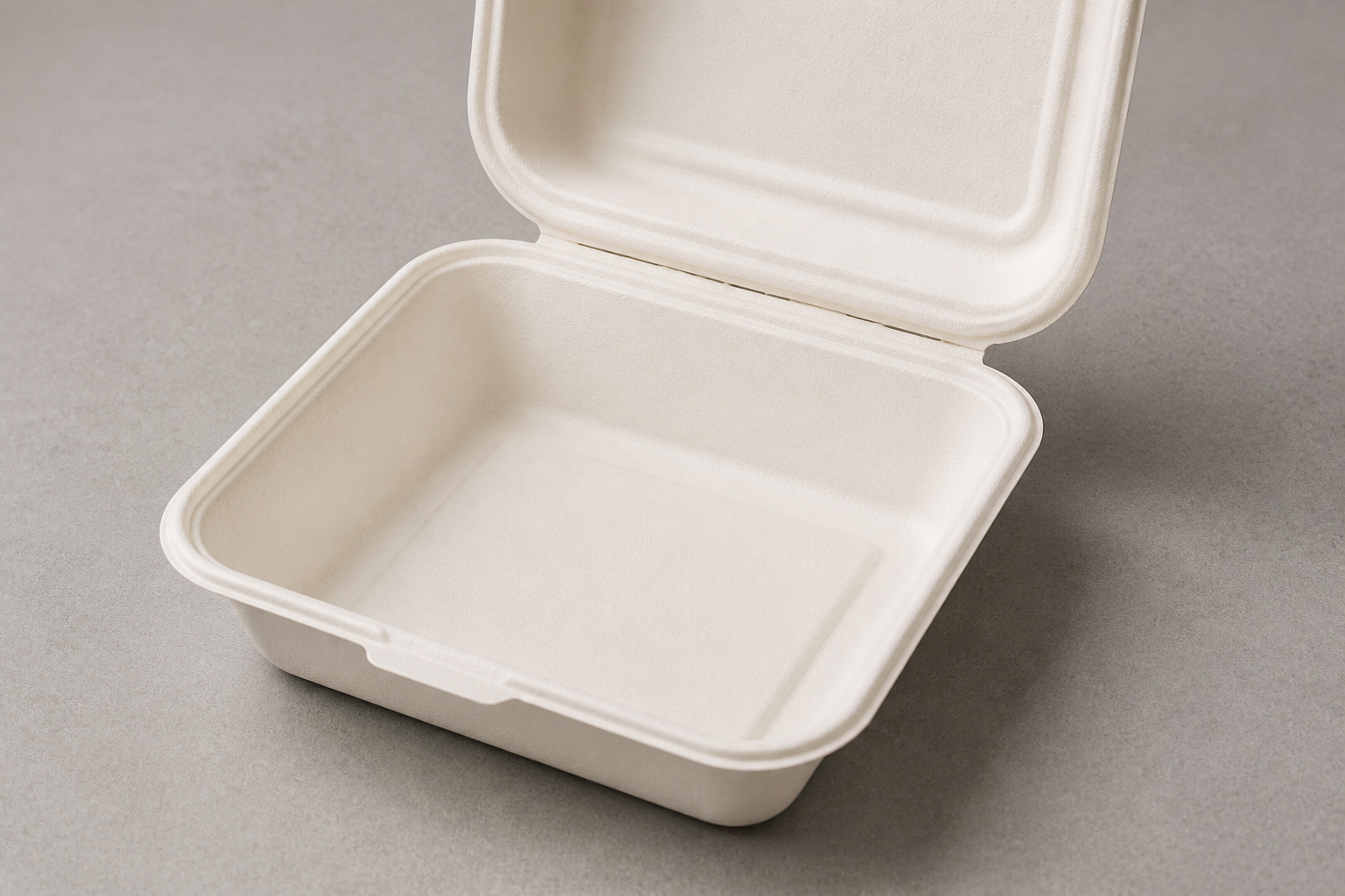 Open empty molded-fiber clamshell showing its single-compartment structure and rim