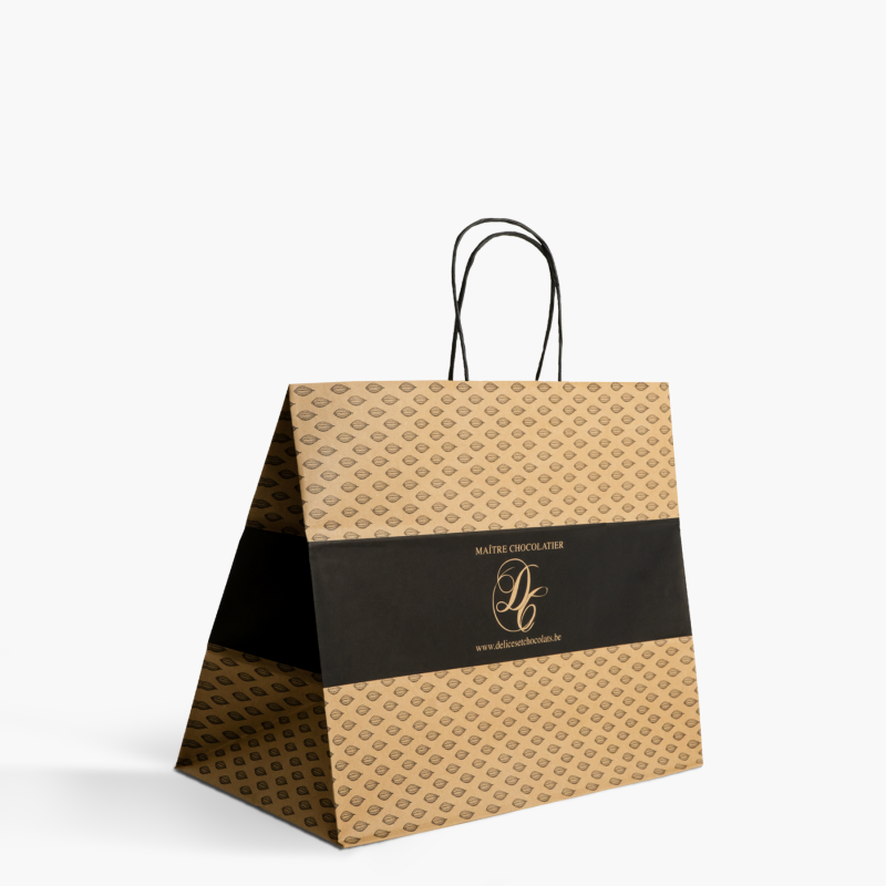 Twisted Handle Paper Bag thumbnail 2