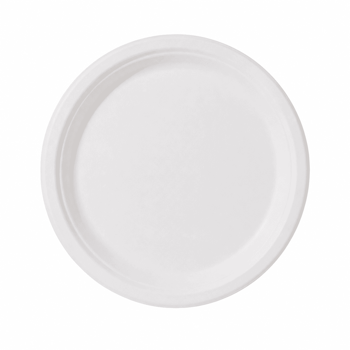 6-inch disposable sugarcane pulp biodegradable paper dinner plate